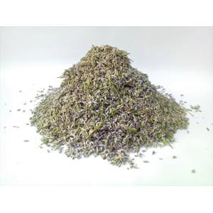 LAVANTA (Lavandula angustifolia Miller)